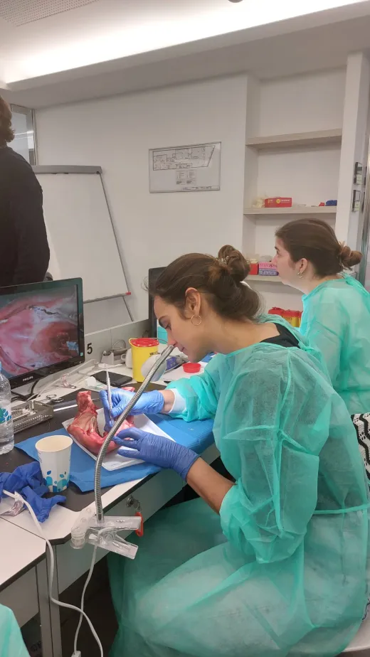 Cirugía Mucogingival en Periodoncia Avanzada e Implantología 2023/2024
