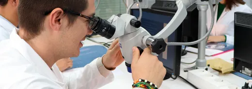 Diploma de Especialización en Endodoncia: aplicaciones y uso del microscopio quirúrgico en endodoncia 12ª Edición