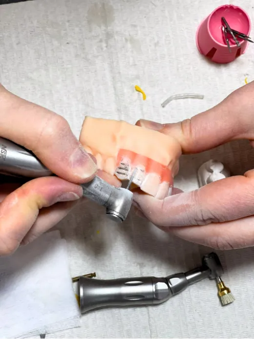Curso intensivo en estética dental: carillas y composites