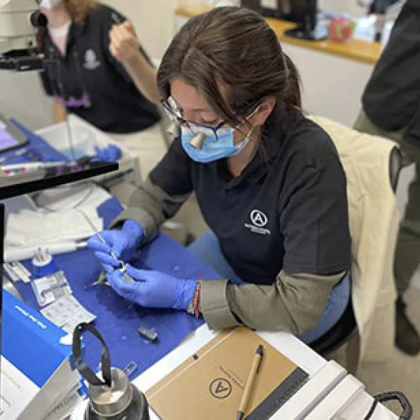 Experto Universitario en Endodoncia para la práctica diaria