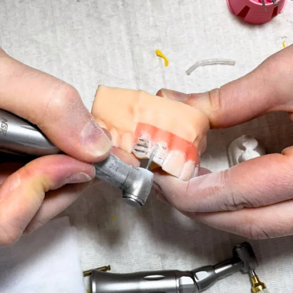 Curso intensivo en estética dental: carillas y composites